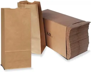 Small Paper Lunch and Grocery Bags - Durable Kraft Paper, Perfect Size, Pack of 500 (Brown, 2LB)